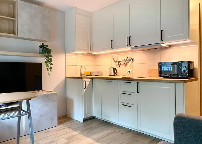 Pole Mokotowskie Warszawa